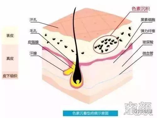 https://img.miyanlife.com/mnt/timg/190703/11554W3a-6.jpg