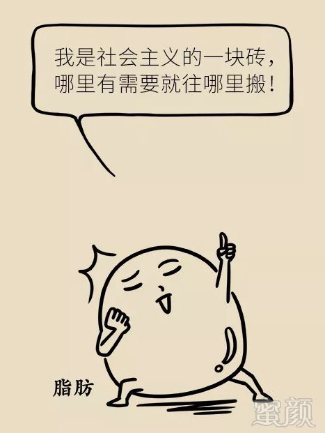 https://img.miyanlife.com/mnt/timg/190703/123005O42-0.jpg