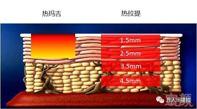 https://img.miyanlife.com/mnt/timg/190704/114P4B62-6.jpg