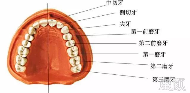 案例图片