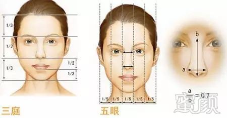 https://img.miyanlife.com/mnt/timg/190705/1113504642-6.jpg