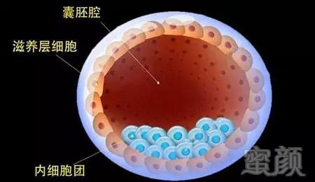 https://img.miyanlife.com/mnt/timg/190707/1159114C4-0.jpg