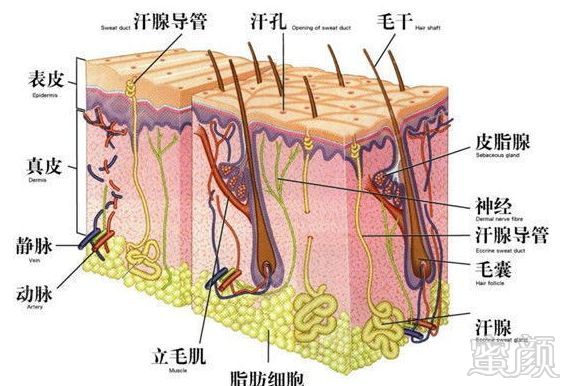 https://img.miyanlife.com/mnt/timg/190707/1203261636-1.jpg