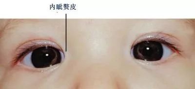 https://img.miyanlife.com/mnt/timg/190709/1200194917-7.jpg