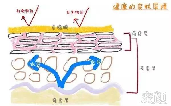 案例图片