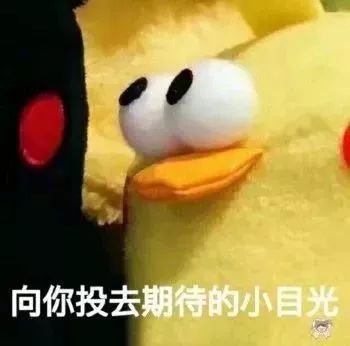 https://img.miyanlife.com/mnt/timg/190710/154924J63-4.jpg