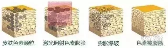 https://img.miyanlife.com/mnt/timg/190710/15510W924-6.jpg