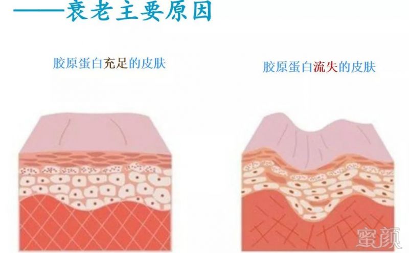 https://img.miyanlife.com/mnt/timg/190710/1620411506-9.jpg