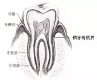 案例图片