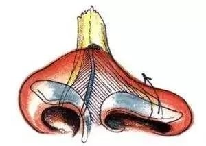 https://img.miyanlife.com/mnt/timg/190719/1236203I2-3.jpg