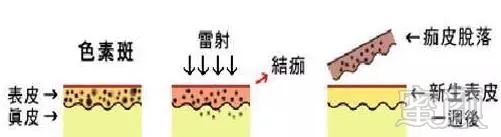 https://img.miyanlife.com/mnt/timg/190721/1124513121-4.jpg