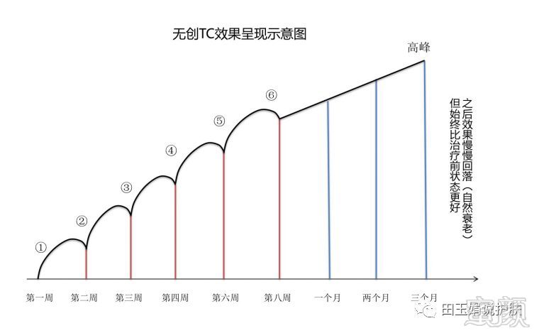 案例图片