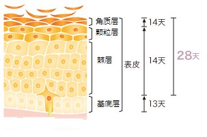 案例图片