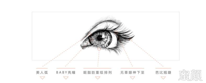 案例图片