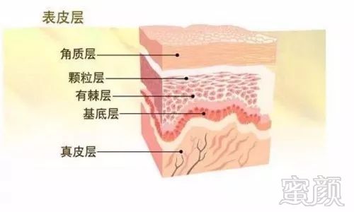 https://img.miyanlife.com/mnt/timg/190723/1126132C0-1.jpg