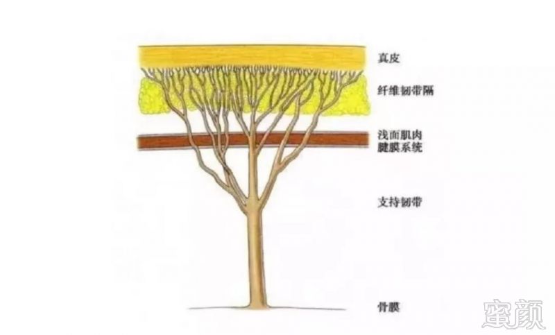 https://img.miyanlife.com/mnt/timg/190723/1126154032-5.jpg