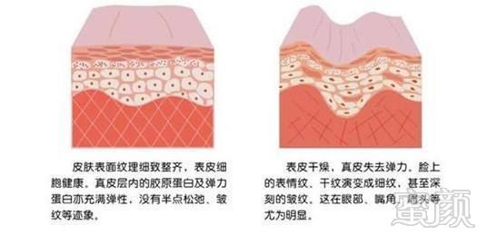 https://img.miyanlife.com/mnt/timg/190723/1232322244-7.jpg