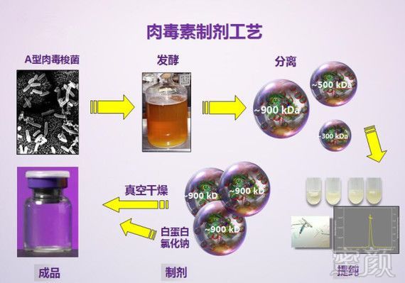 https://img.miyanlife.com/mnt/timg/190725/12221a234-4.jpg