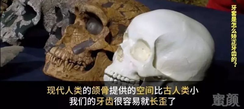 案例图片