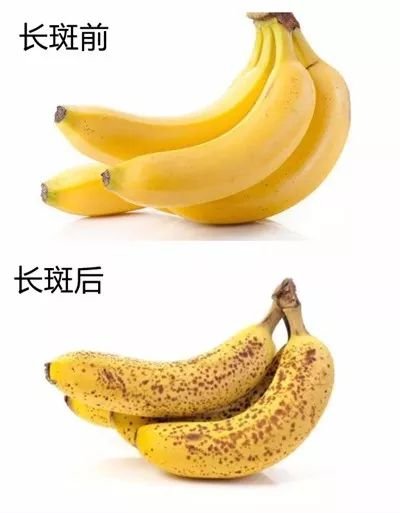 https://img.miyanlife.com/mnt/timg/190726/1129303420-0.jpg