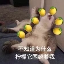 https://img.miyanlife.com/mnt/timg/190726/1129345X2-3.jpg