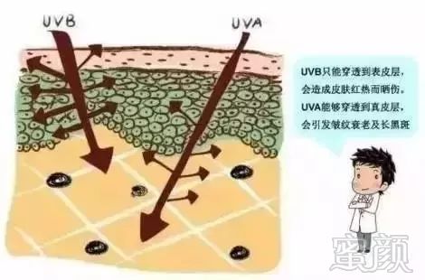 https://img.miyanlife.com/mnt/timg/190726/112QM445-4.jpg