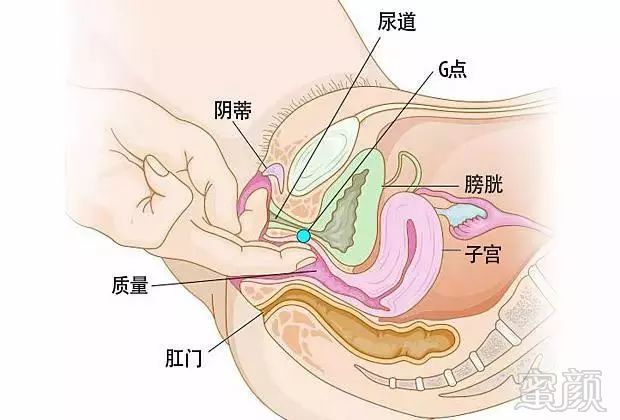 案例图片