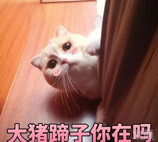 https://img.miyanlife.com/mnt/timg/190729/12535M529-4.jpg