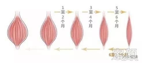https://img.miyanlife.com/mnt/timg/190730/11591445H-2.jpg