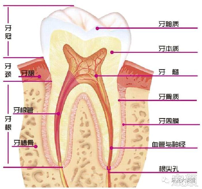 https://img.miyanlife.com/mnt/timg/190730/124332I23-2.jpg