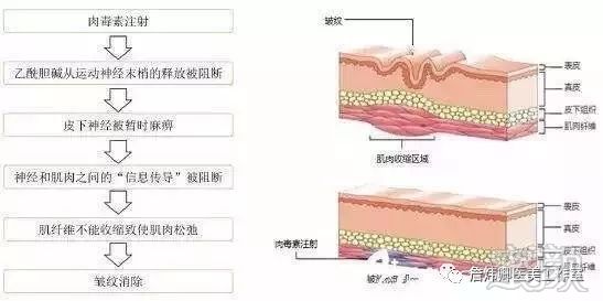 https://img.miyanlife.com/mnt/timg/190731/112HRL2-5.jpg