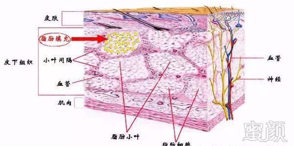 https://img.miyanlife.com/mnt/timg/190801/114541N12-0.jpg