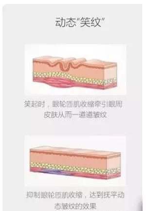 https://img.miyanlife.com/mnt/timg/190801/12095261W-6.jpg