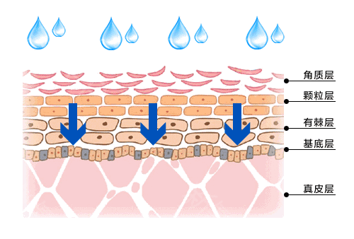 https://img.miyanlife.com/mnt/timg/190803/104331HL-3.jpg