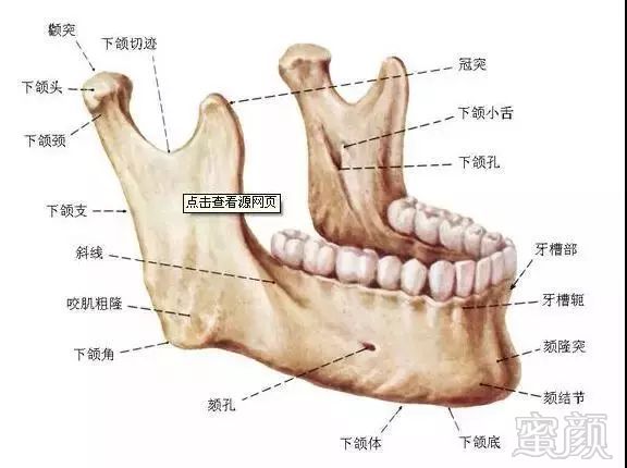 案例图片