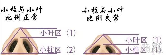 https://img.miyanlife.com/mnt/timg/190805/11345W303-6.jpg