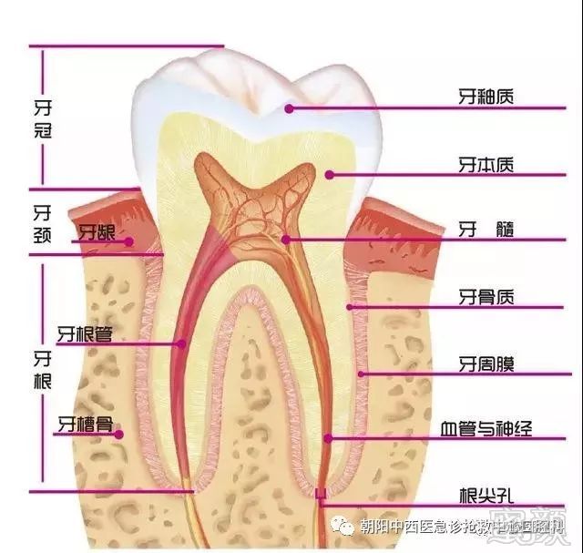 https://img.miyanlife.com/mnt/timg/190805/1140321135-0.jpg