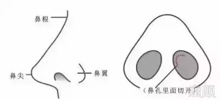 https://img.miyanlife.com/mnt/timg/190805/11455W434-2.jpg