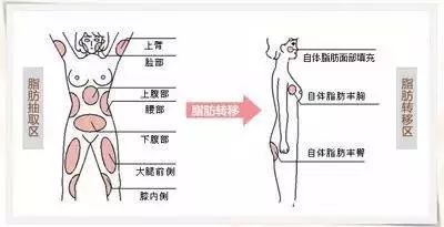 https://img.miyanlife.com/mnt/timg/190806/11231634O-4.jpg