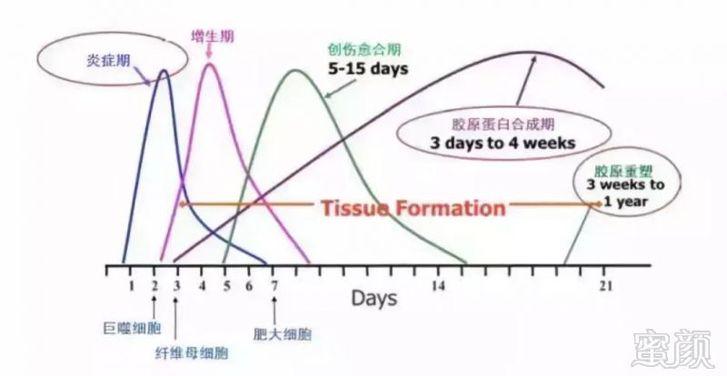 https://img.miyanlife.com/mnt/timg/190806/12043124X-3.jpg