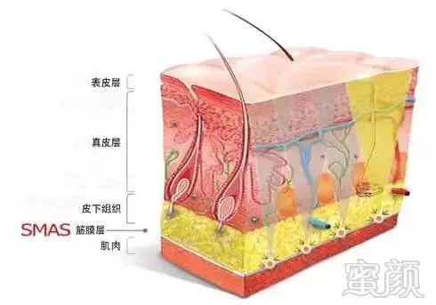 https://img.miyanlife.com/mnt/timg/190807/1131245306-8.jpg