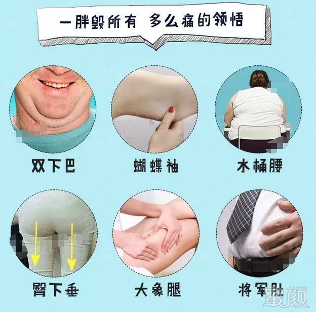 https://img.miyanlife.com/mnt/timg/190808/1200293523-2.jpg