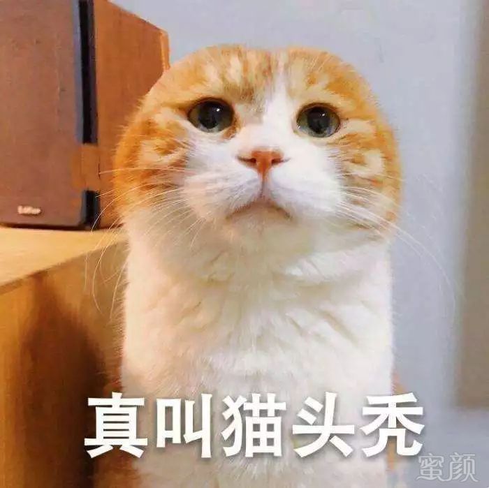 https://img.miyanlife.com/mnt/timg/190808/12002W646-1.jpg