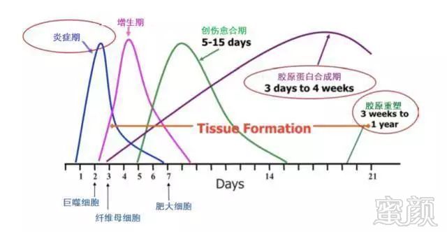 案例图片