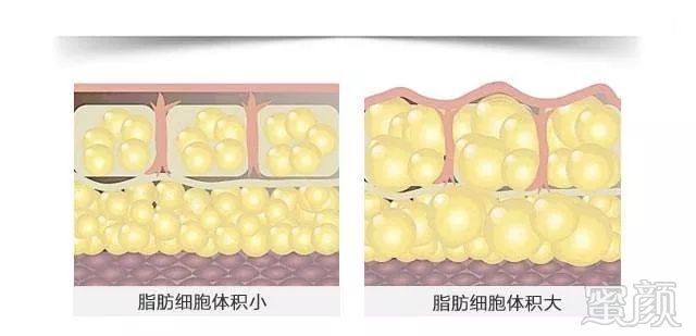 https://img.miyanlife.com/mnt/timg/190810/11552V247-6.jpg