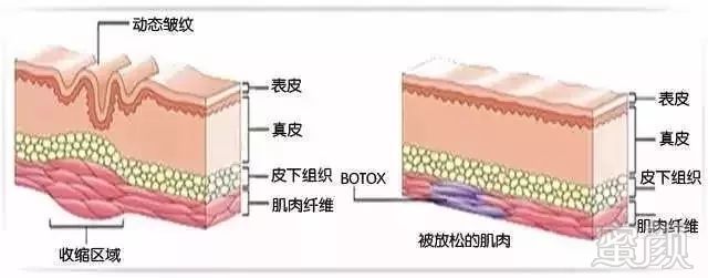 https://img.miyanlife.com/mnt/timg/190810/11561C616-9.jpg