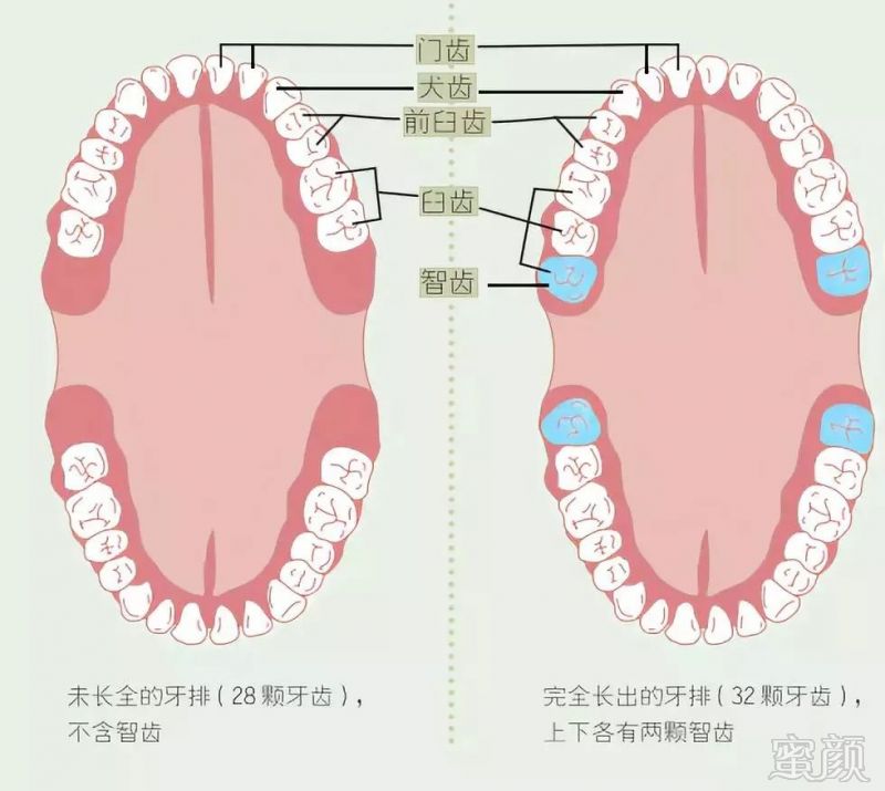 案例图片