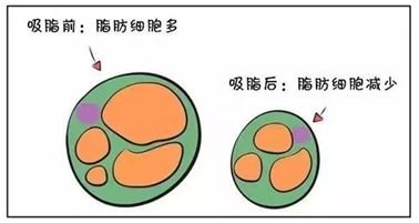 案例图片