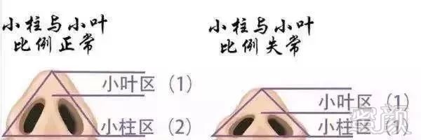 https://img.miyanlife.com/mnt/timg/190813/123GB031-10.jpg