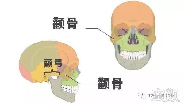 案例图片